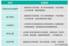 兽药版"葵花宝典":四环素、大环内酯、氟苯、氨基糖苷等药效汇总图片