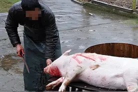 辽宁丹东特大杀人案死伤12人：欺负老实人让你连下跪的机会都没有图片