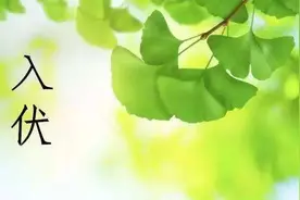入伏后，别只会喝绿豆汤，建议喝这3种汤，解渴解暑，平稳过伏天图片