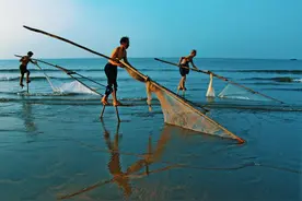 这50张图，就是你开海后要来一趟防城港的理由图片