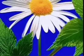 女人常说这三句话，多半是在“暗示”你可以撩她，或者向她表白图片