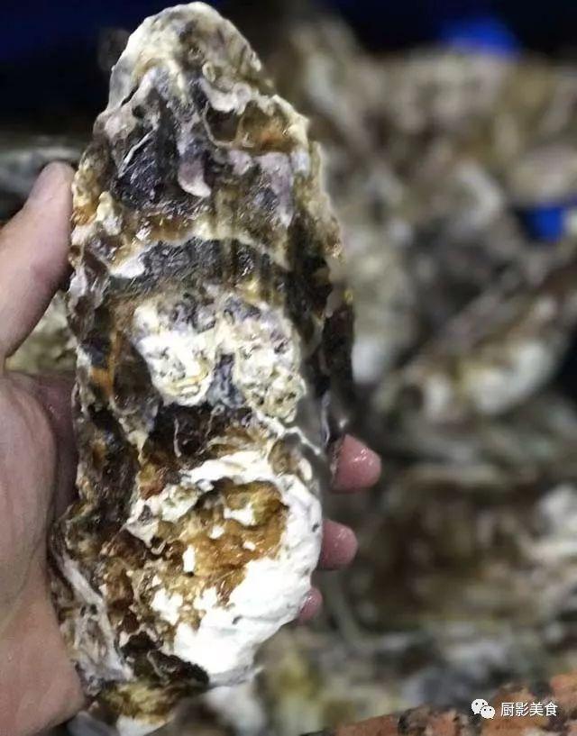 40头的花胶是几级 2025年花胶40头是什么意思?