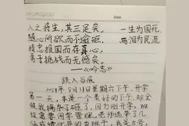 一个13岁男孩的日记震撼住了我图片