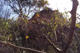 故事：女子到丈夫的坟前烧纸，发现坟前，躺着一个十三四岁的男孩图片