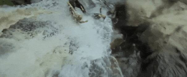 开局就赤身肉搏，这“抗疫神片”突破底线，耗资过亿只配五星差评