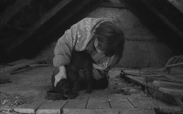 一场漫长的毁灭——解读2025诺奖得主克拉斯诺霍尔卡伊新作