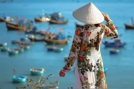 如果越南是中国的一个省，经济总量能在中国排名第几？图片