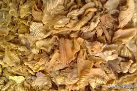 经常吃鸡内金，3种变化等着你！不仅健脾消食，还能调理这4种病图片