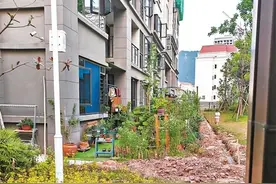 一楼业主毁绿圈地建“私家庭院”？城管：限期拆除恢复原样图片