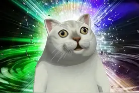 喵星人到底能有多沙雕？图片