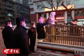 称“狗比娃金贵”夫妻被处理后偷偷接回送养小狗，出门遛狗仍不拴绳图片