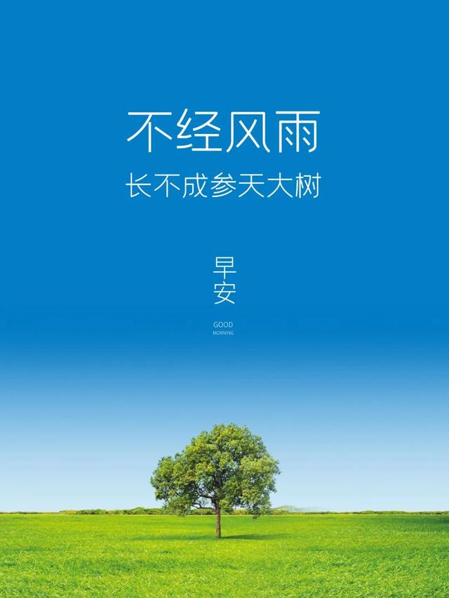 「2022.05.10」早安心语,正能量最美语录分享 早上好励志暖心短句