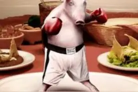 每日冷知识：为什么运动员不吃猪肉？图片