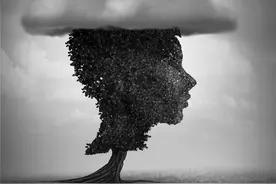 已婚未育的女性的困境图片