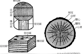 木材的裂纹种类与斜纹知识图片