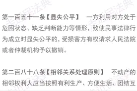 《民法典》涉“公平原则”的规定梳理、要点解读与参考案例图片