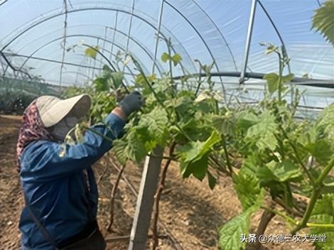 鍖楁柟閬块洦妫氶槼鍏夌帿鐟拌悓鑺借嚦鑺卞簭鍒嗙鏈熺鐞嗘妧鏈紙涓嬶級