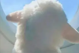超好听的词牌名，你看过哪个？图片