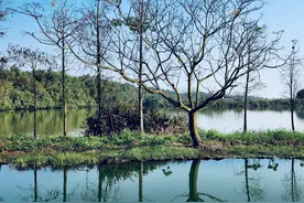 三星s22 ultra 相机试拍图片