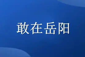 岳阳县以“四敢”精神蓄势赋能 激活高质量发展强劲动能图片