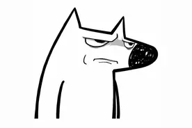 狗狗细小病用黄连素片治疗效果好图片