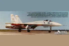 苏-27这棵大树下到底有多少支脉，苏-27来华30年有感图片