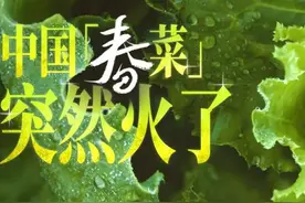 中国人抢购的“春菜”，为什么突然火了？｜地球知识局图片