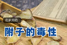 言药言方：附子的毒性问题，2024年版图片