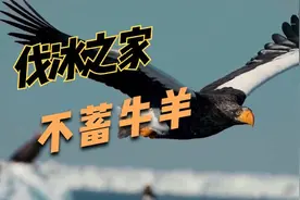 伐冰之家不畜牛羊！富人莫抢穷人饭碗！图片