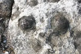 石头居然会“生孩子”！它生出来的难道就是孙悟空吗？图片