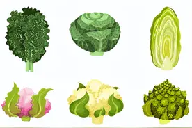 吃了这么多年才知道花椰菜、西蓝花、芥蓝竟然是亲兄弟图片