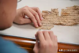 AI时代的“整理国故”图片