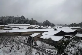 浙江到广东都在下雪，为何南方连遭暴雪：拉尼娜现象威力不减图片