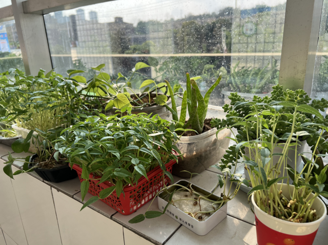 四川省民生研究会新媒体中心-官网