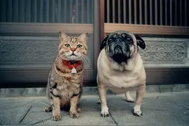 “三从四德”究竟是哪三从，哪四德？图片