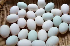 买鸭蛋，分清“青皮”和“白皮”，2个小区别，弄懂再买心里有底图片
