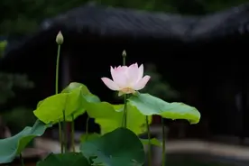 人生的福气是有限的，有些事经常做，会耗光福运图片