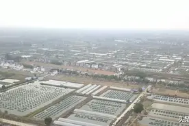 日均交易五万斤！仙桃黄鳝迎来上市“黄金季”图片