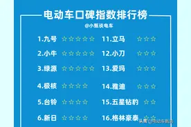 2025电动车“口碑指数”排行来了！20个品牌上榜，雅迪竟掉出前十图片