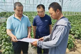 【特色产业】朔城区梨园头彩椒基地再现发展美景图片