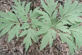 高中同学里优等生和差生二十多年后的现状对比！图片