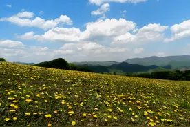 本溪草河掌老平坨风光——一个“天地距离最近的地方”图片