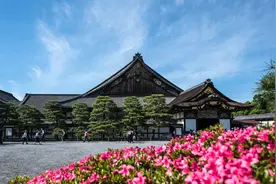 日本 | 京都地区的名胜古迹以及简介，都在这里，建议收藏图片