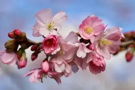 诗词丨8首最美治愈诗，字字句句抚人心图片