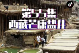 第55集 | 西藏芒康千年盐井，依山而建，挂在悬崖上已有1300多年历史，是我国迄今保存最完整的手工传统晒盐方式。#旅行推荐官 #芒康盐井古盐田 #风景 视频封面
