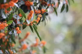 四年级数学上册第一章：怎样正确理解“计数单位、数位和位数”？图片
