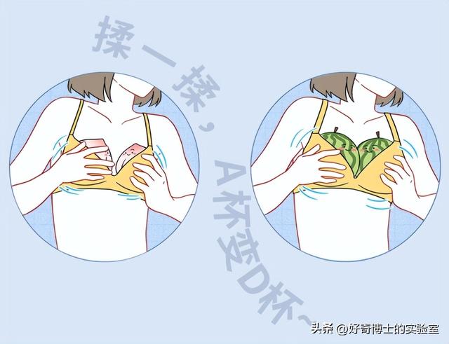 为什么女孩子的都"白白嫩嫩,香香软软"的?(初中女生胸好软) - 冷求网