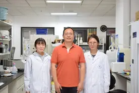 因为“太交叉”找不到审稿人？中国学者跨界研究解决经典难题图片