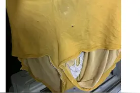 神回复：注意你爸！图片