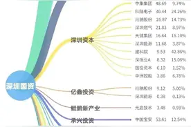 深圳国资委持股名单图片